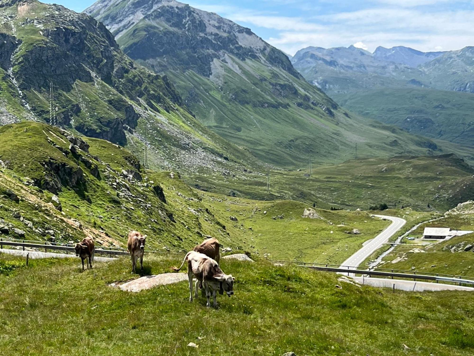 Ospizio La Veduta Bivio Exterior foto